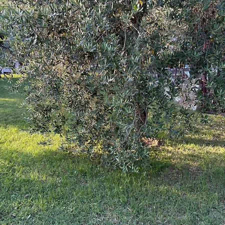 San Rocco Relais 3* Soiano Del Lago